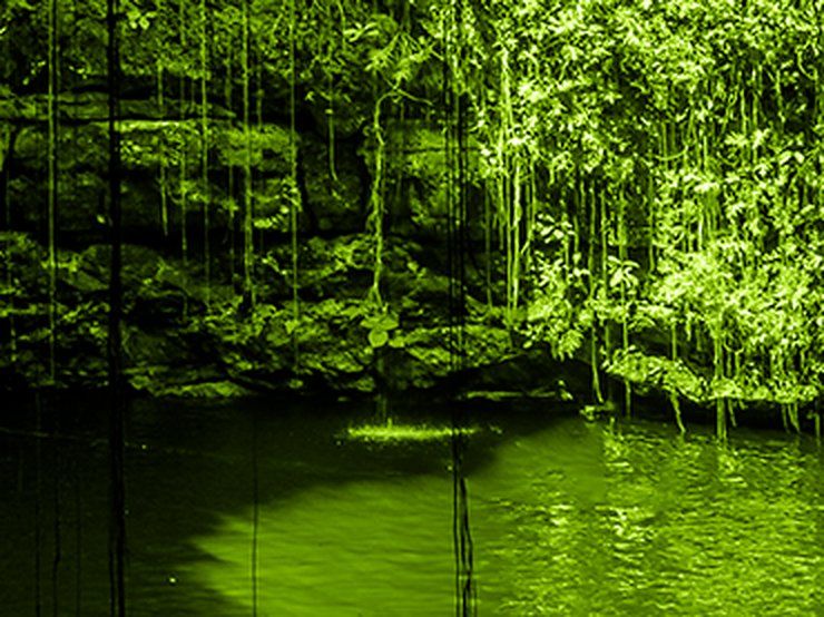 Cenote en la selva de Quintana Roo